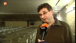 Afbeelding invoegen